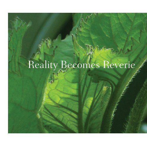 View Reality Becomes Reverie by BCC MMART 133A Digital Photography 1, Spring 2011