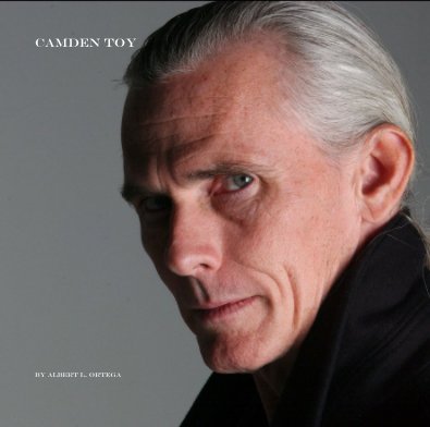 Camden Toy book cover