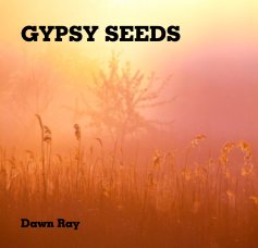 GYPSY SEEDS book cover