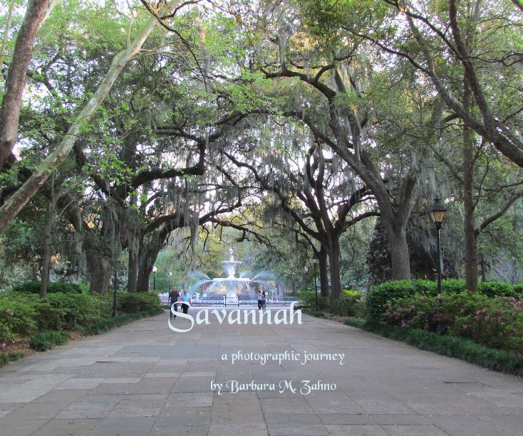 Ver Savannah por Barbara M. Zahno