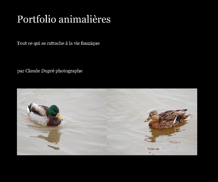 Ver Portfolio animalières por par Claude Dupré photographe