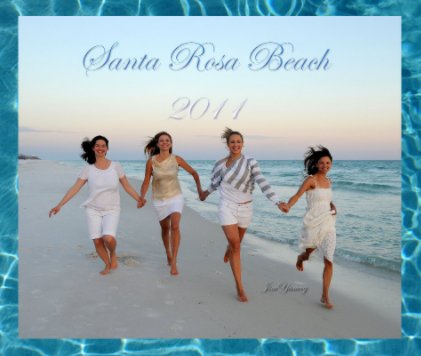 Santa Rosa Beach 2011 book cover