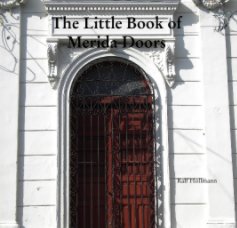 The Little Book of Merida Doors book cover