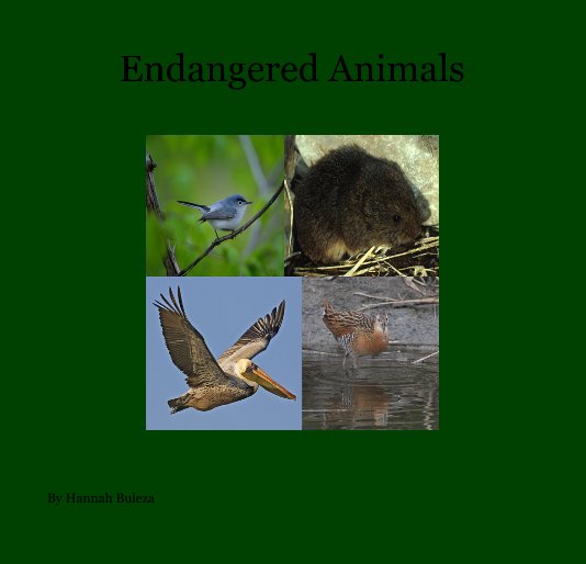 Ver Endangered Animals por Hannah Buleza