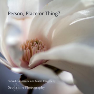 Person, Place or Thing? book cover