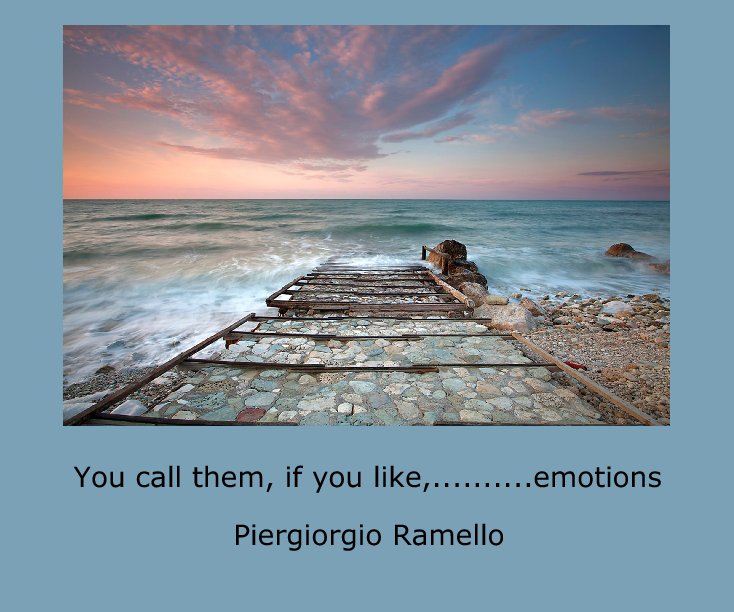 Ver You call them, if you like,..........emotions por Piergiorgio Ramello