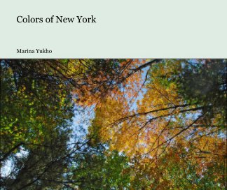 Colors of New York book cover