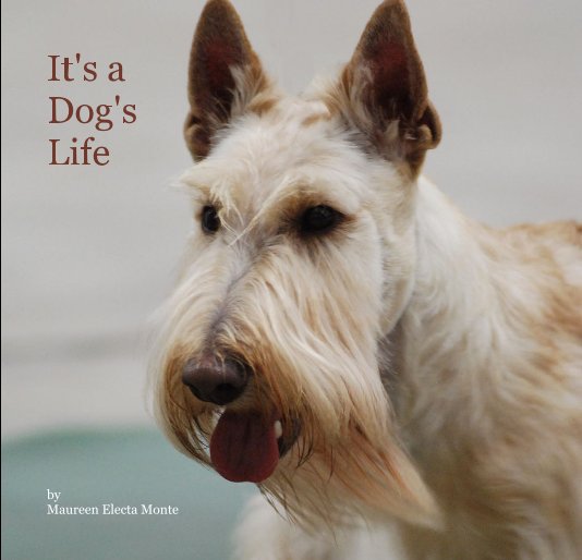 View It's a Dog's Life by Maureen Electa Monte