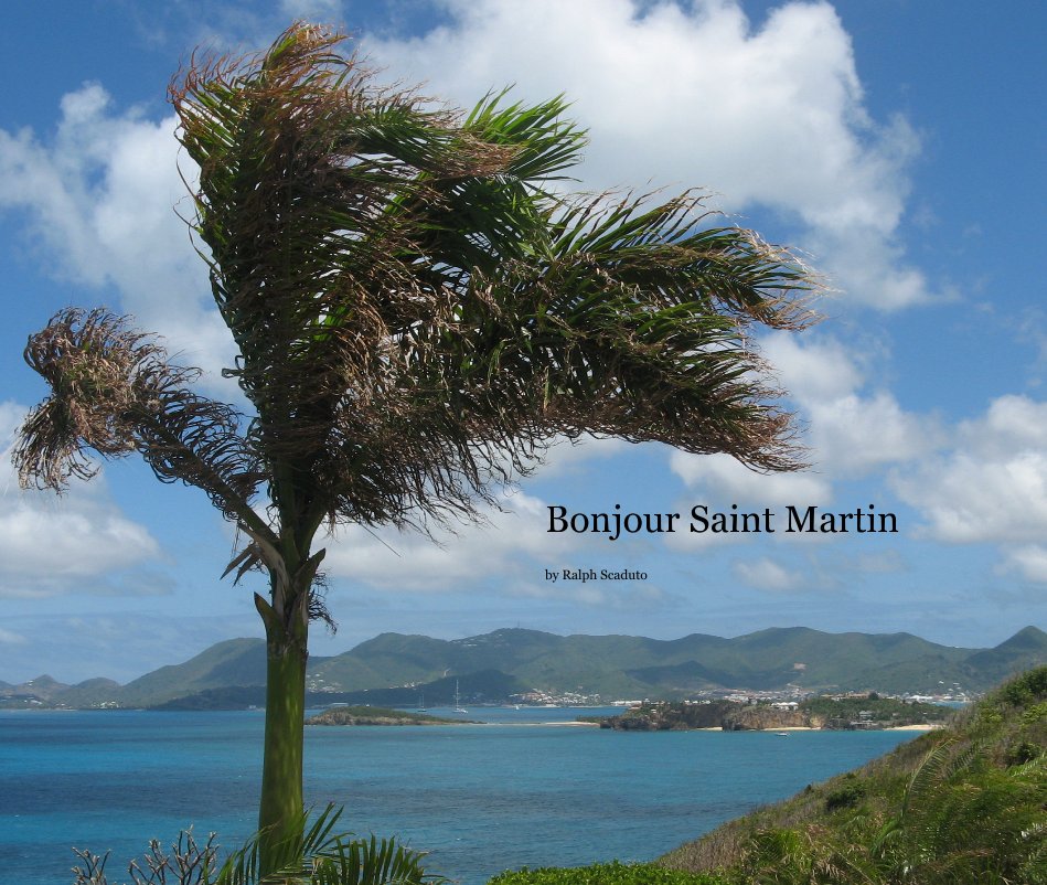View Bonjour Saint Martin by Ralph Scaduto