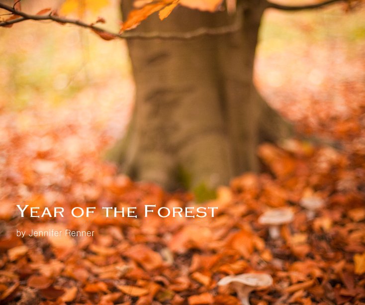 View Year of the Forest by Jennifer Renner