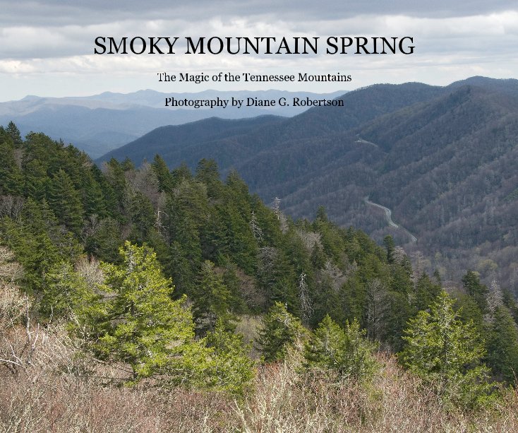 View SMOKY MOUNTAIN SPRING by Photography by Diane G. Robertson