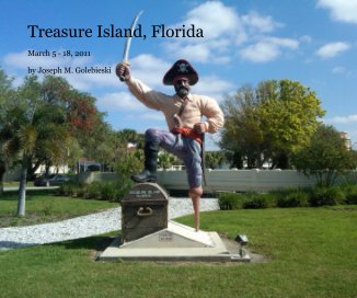 Treasure Island, Florida 2011 book cover