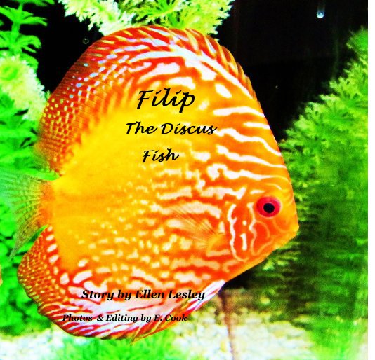 View Filip The Discus Fish by E Cook