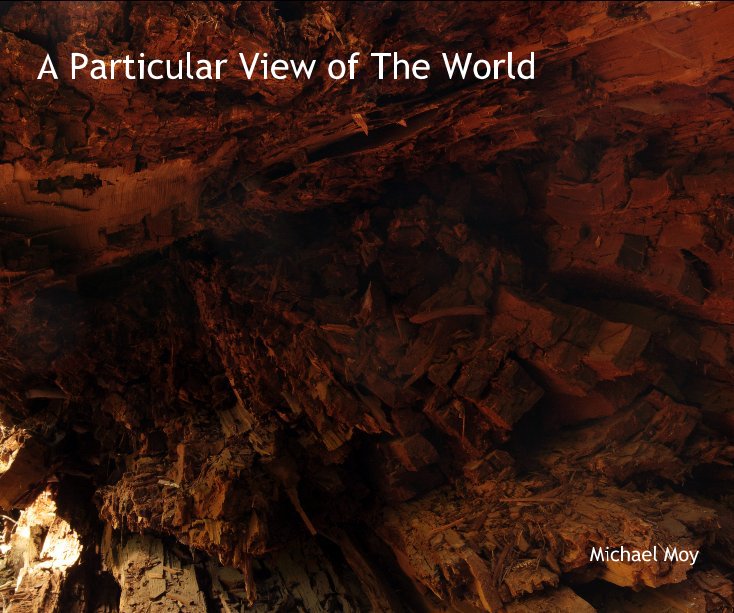 Bekijk A Particular View of The World op Michael Moy
