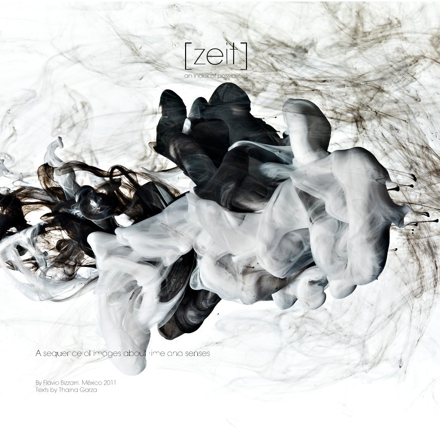 View [zeit] an index of possibilities by Flavio Bizzarri. México 2011 Texts by Thaina Garza