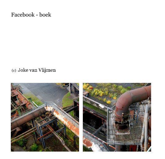 Ver Facebook - boek por (c) Joke van Vlijmen