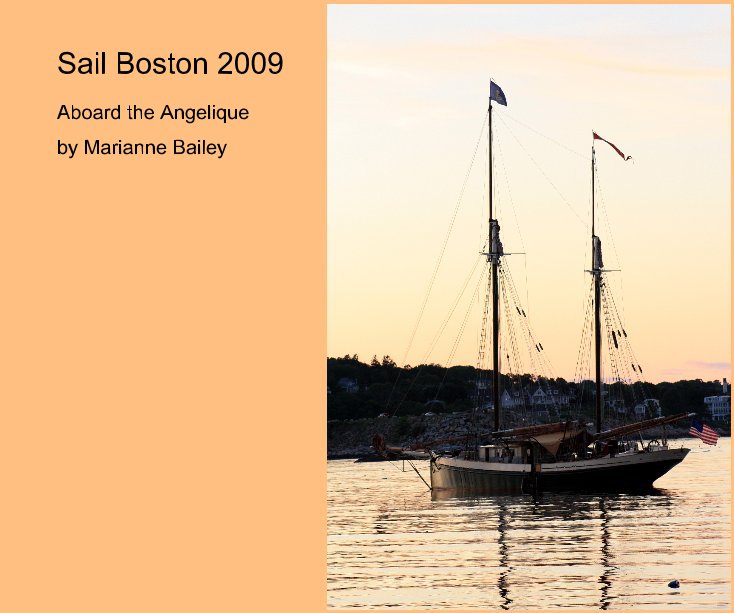 View Sail Boston 2009 by Marianne Bailey