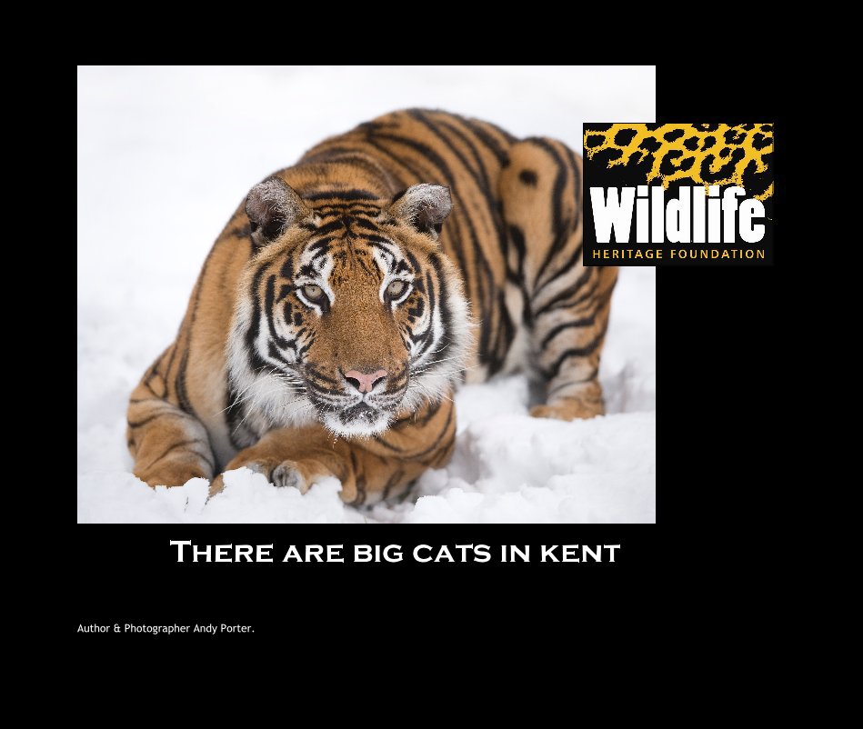 Ver There are big cats in kent por Author & Photographer Andy Porter.