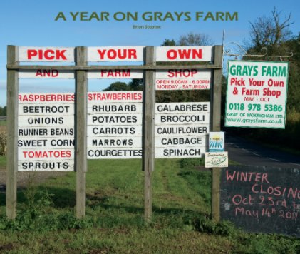 A YEAR ON GRAYS FARM book cover