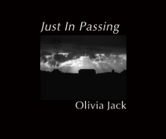 Just In Passing book cover