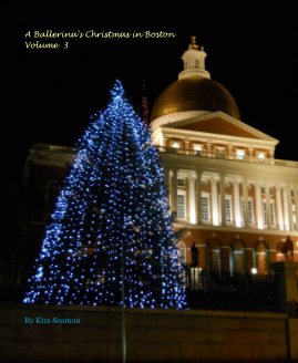 A Ballerina's Christmas in Boston Volume 3 book cover