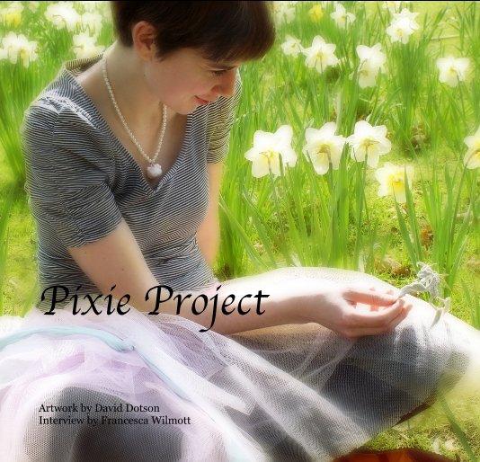 View Pixie Project by David Dotson, Interview by Francesca Wilmott