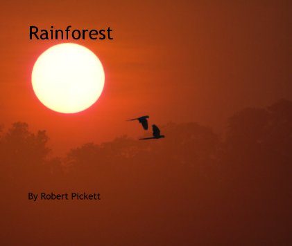 Rainforest book cover