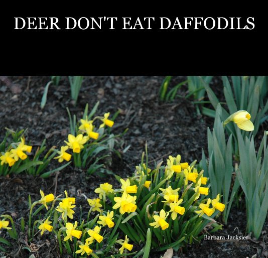 DEER DON'T EAT DAFFODILS by Barbara Jacksier Blurb Books