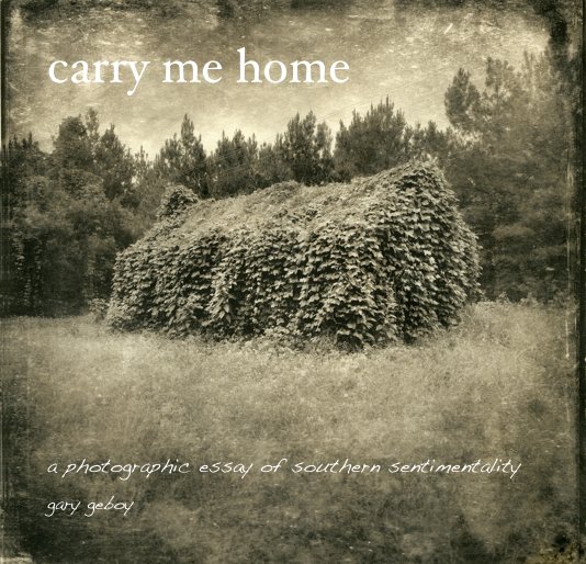 View carry me home by gary geboy