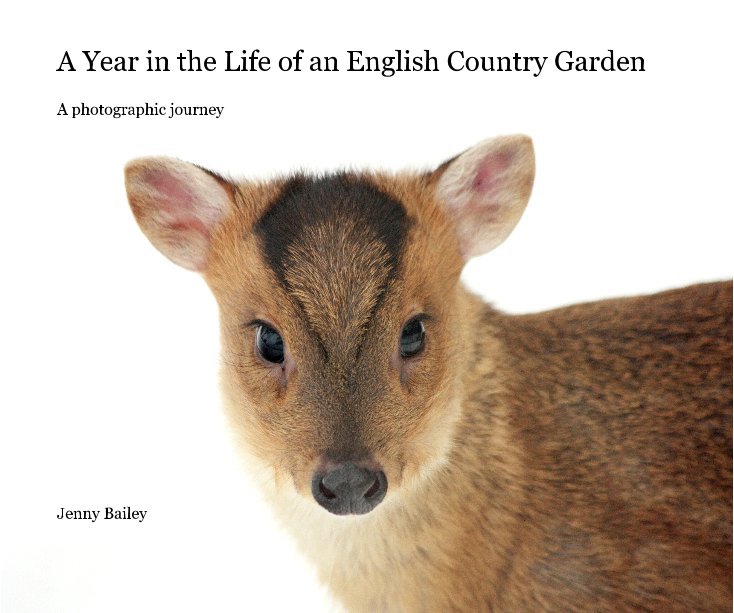 View A Year in the Life of an English Country Garden by Jenny Bailey