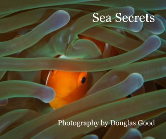 Sea Secrets book cover