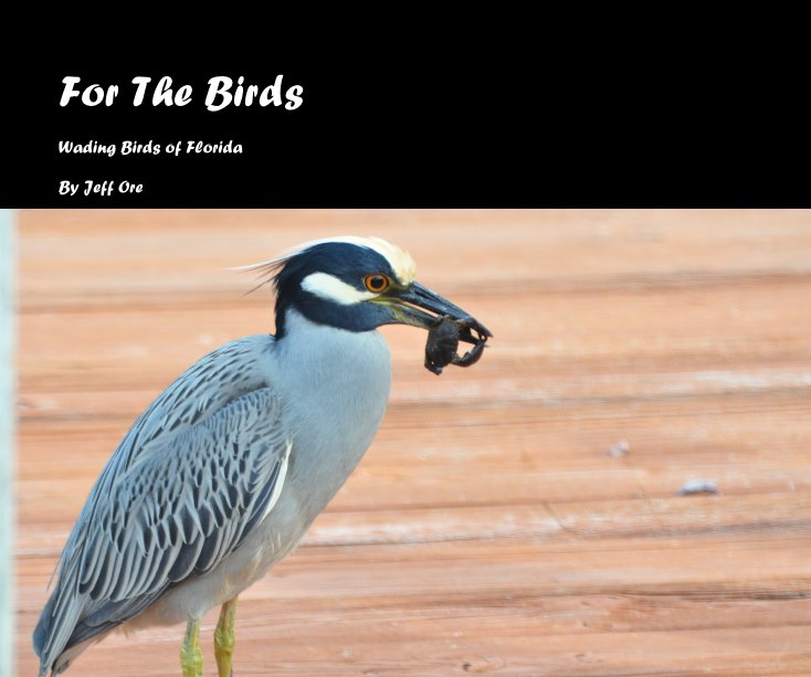 Visualizza For The Birds di Jeff Ore