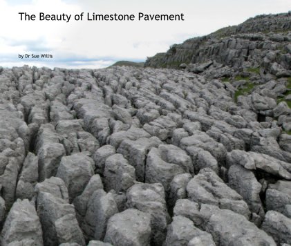 The Beauty of Limestone Pavement book cover