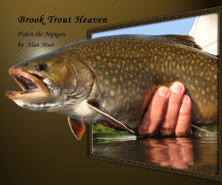 View Brook Trout Heaven by Alan Muir