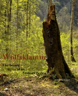 Wolfsklamm book cover