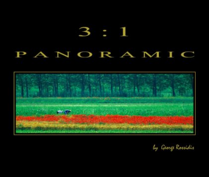 PANORAMIC   3 : 1 book cover
