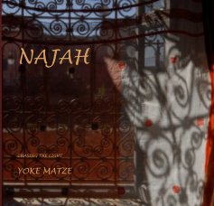 NAJAH CHASING THE LIGHT book cover