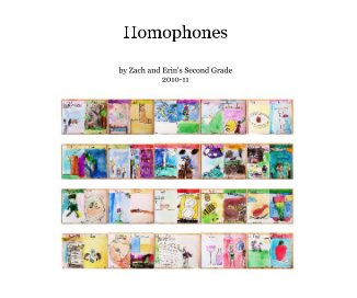 Homophones book cover