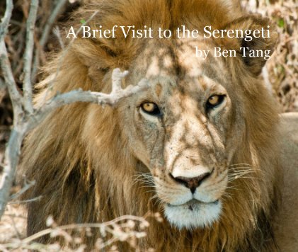A Brief Visit to the Serengeti by Ben Tang book cover