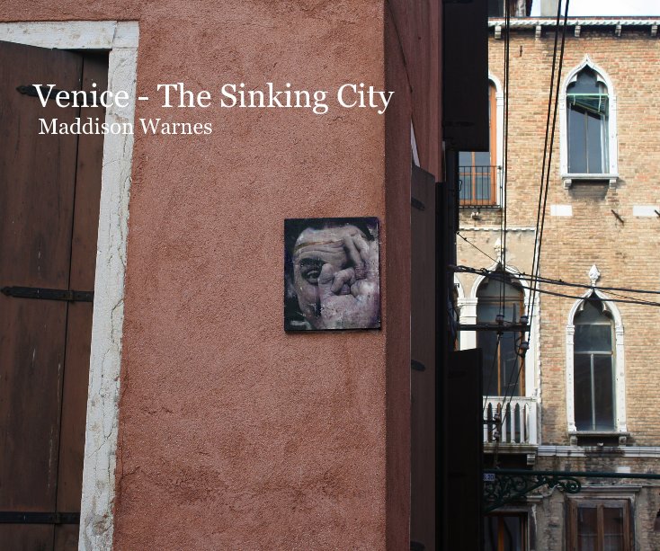 View Venice - The Sinking City Maddison Warnes by Maddison Warnes