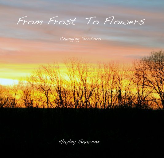 View From Frost To Flowers Changing Seasons by Hayley Sanzone