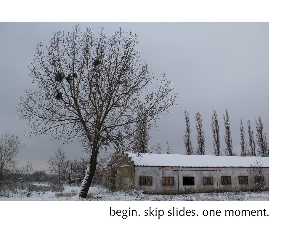 View begin.skip slides.one moment by Nataliya Pidluzhna