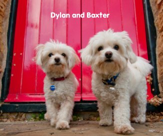Dylan and Baxter book cover