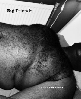 Big Friends book cover