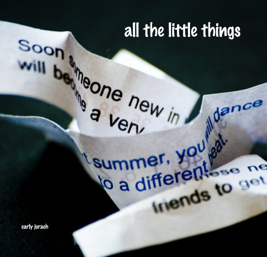 View all the little things by carly jurach