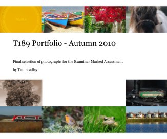 T189 Portfolio - Autumn 2010 book cover