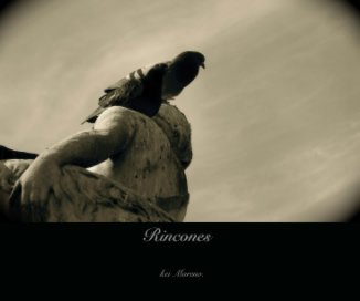 Rincones book cover