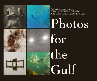 Photos for the Gulf: First Anniversary Edition book cover