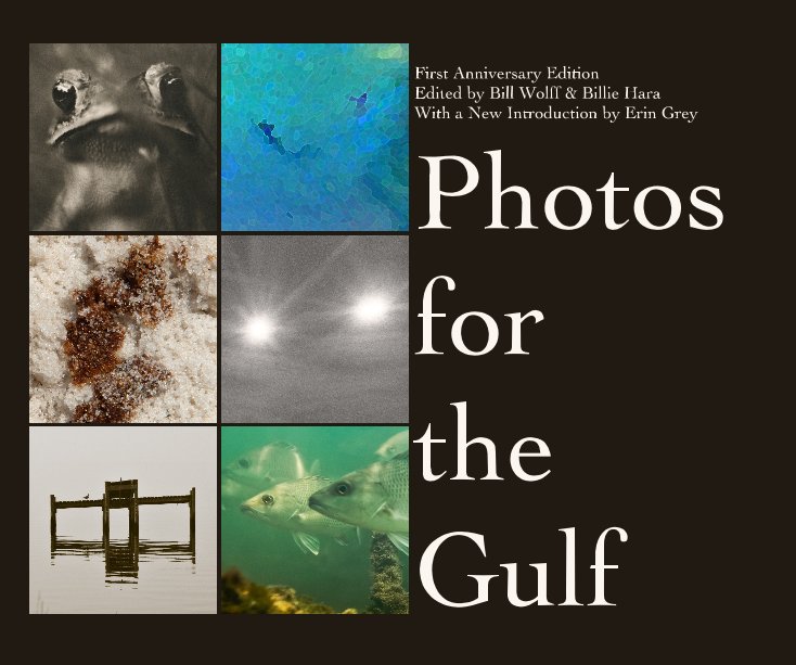 Bekijk Photos for the Gulf: First Anniversary Edition op Edited by Bill Wolff & Billie Hara