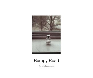 Bumpy Road book cover